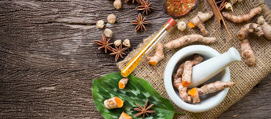 Ayurveda Training India  